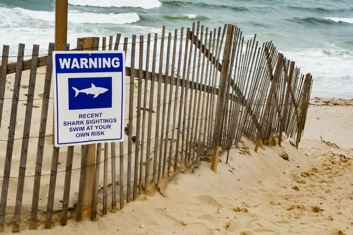 A sign warning people about sharks.